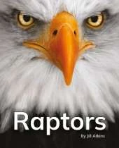 Raptors: Phonics Phase 5
