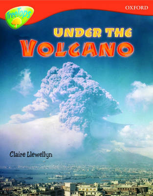 Oxford Reading Tree: Level 13: Treetops Non-Fiction: Under the Volcano