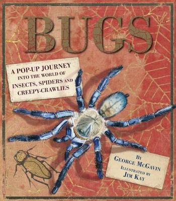 Bugs: This beautifully illustrated book is perfect for young children with fascination and desire to learn more about the world of creepy-crawlies.