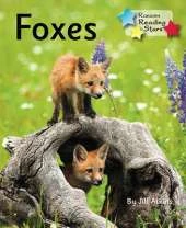 Foxes (Pack 6)