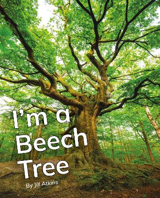 I'm a Beech Tree: Phonics Phase 5