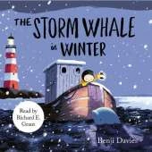 The Storm Whale in Winter