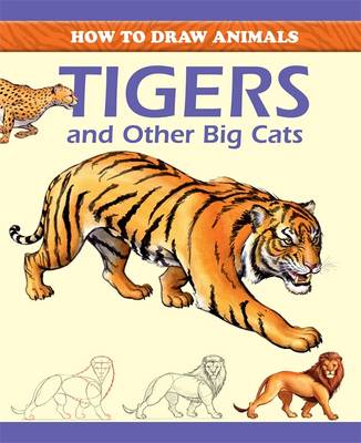 How to Draw Animals: Tigers and Other Big Cats