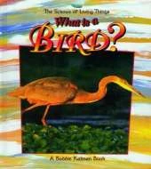 What is a Bird?