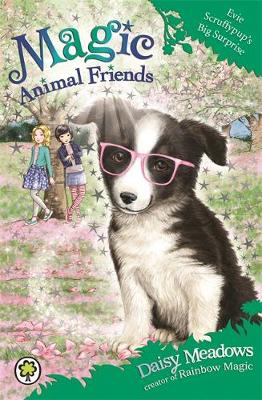 Evie Scruffypup's Big Surprise: Book 10