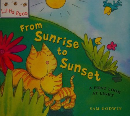 Little Bees: From Sunrise to Sunset: A first look at light