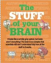 The STUFF of your Brain