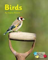 Birds (Pack 6)
