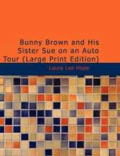 Bunny Brown and His Sister Sue on an Auto Tour