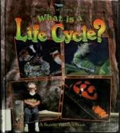 What Is A Life Cycle?