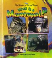 What Is A Mammal