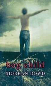 Rollercoasters Bog Child Reader