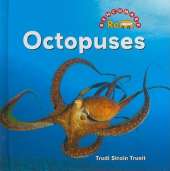 Octopuses