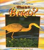 What Is A Bird