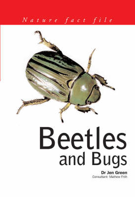 Beetles and Bugs