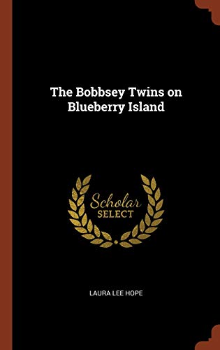 The Bobbsey Twins on Blueberry Island