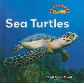Sea Turtles