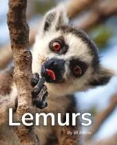 Lemurs: Phonics Phase 5