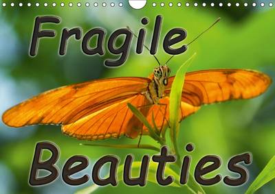 Fragile Beauties - Exotic Butterflies 2017: Spellbinding Photos of Various Exotic Butterflies in Their Natural Habitat.