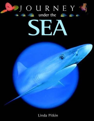 Journey Under the Sea