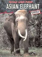 Animals Under Threat: Asian Elephant Hardback
