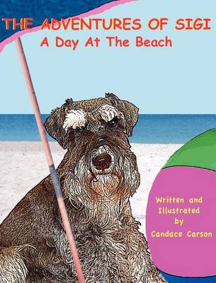 A Day at the Beach
