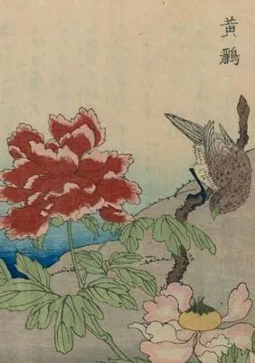 Carnet Ligne, Oiseaux Etrangers