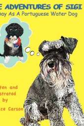 A Day as a Portuguese Water Dog