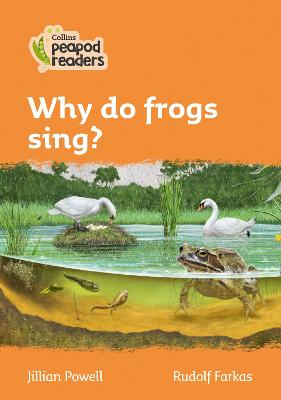 Level 4 - Why do frogs sing?
