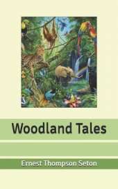 Woodland Tales