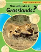 Food Chains In Action: Who Eats Who In Grasslands