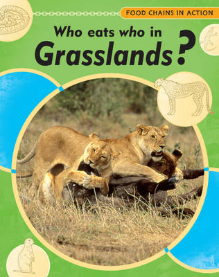 Food Chains In Action: Who Eats Who In Grasslands