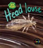 Head louse