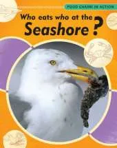 Food Chains In Action: Who Eats Who At The Seashore