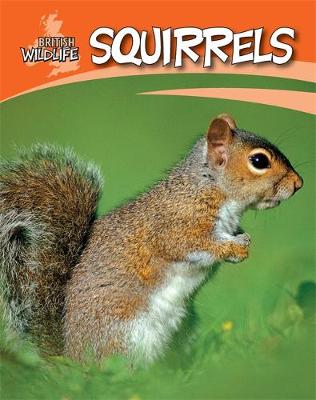 British Wildlife: Squirrels
