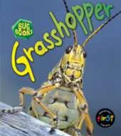 Grasshopper