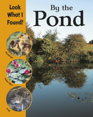 Look What I Found!: By The Pond