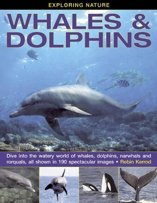 Exploring Nature: Whales & Dolphins: Dive into the Watery World of Whales, Dolphins, Narwhals and Rorquals, All Shown in 190 Spectacular Images