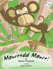 Mawredd Mawr!