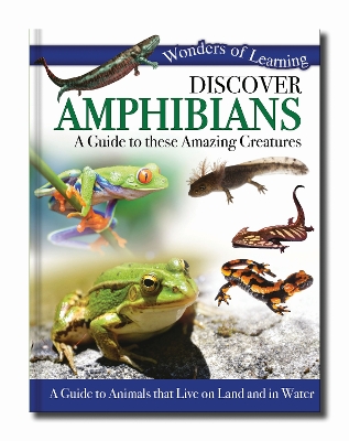 Discover Amphibians: A Guide to These Amazing Creatures