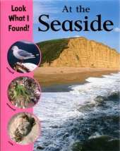 Look What I Found!: At The Seaside