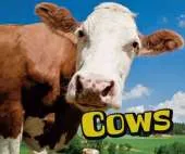Farm Animals Pack A of 6