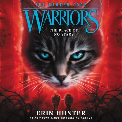 Warriors: the Broken Code #5: the Place of No Stars