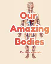 Our Amazing Bodies