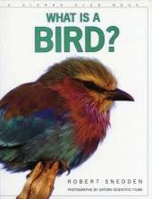 What is a Bird