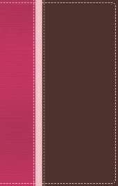 NIV Teen Study Bible SEA