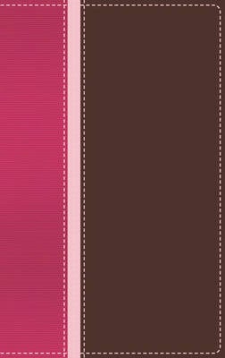 NIV Teen Study Bible SEA