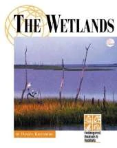 The Wetlands