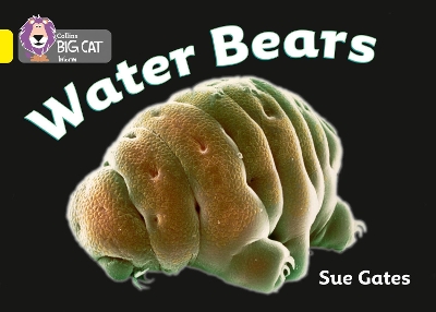 Water Bears: Band 03/Yellow