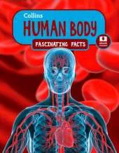 Human Body